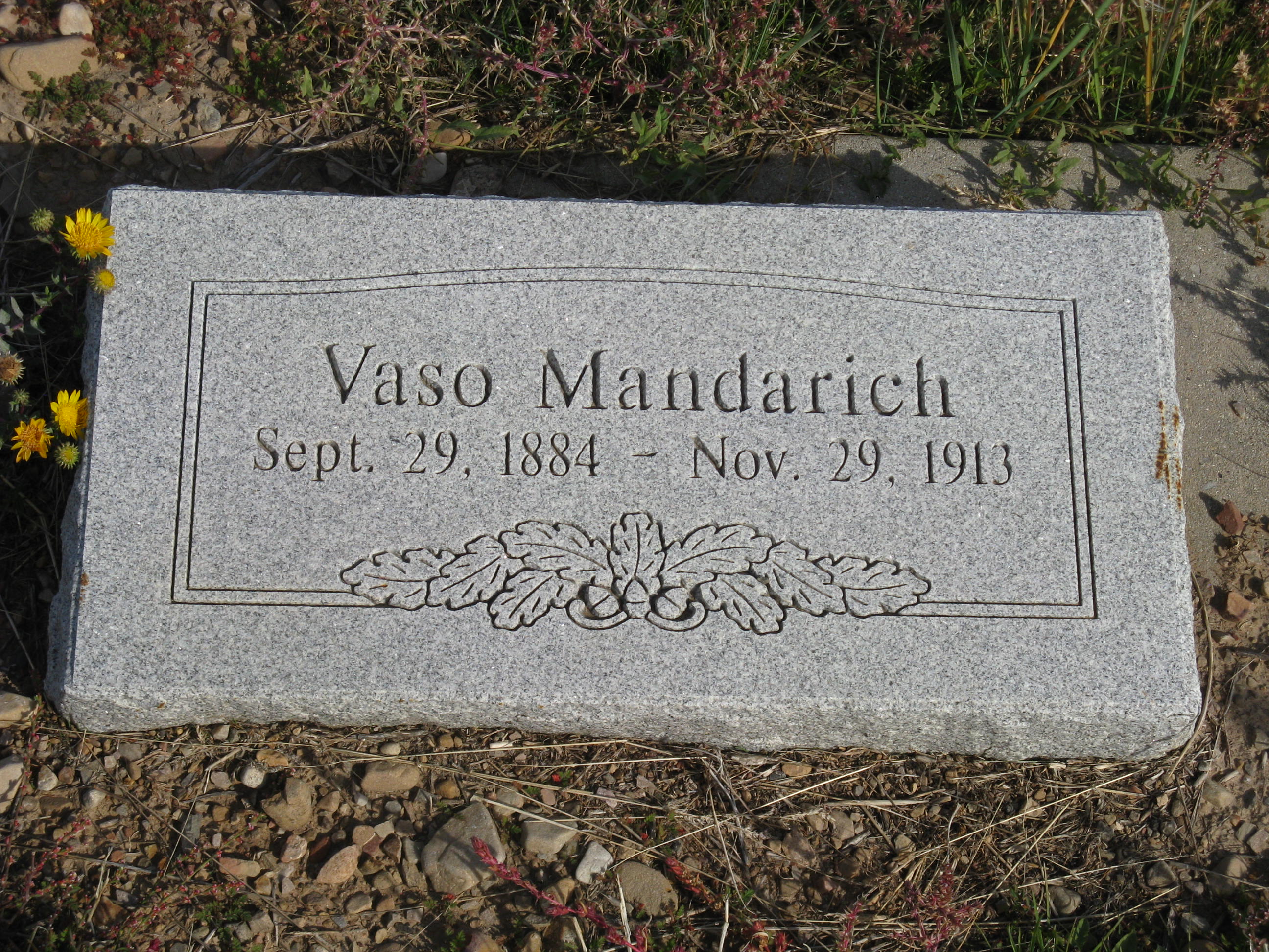 Deputy Sheriff Vaso Deputy Sheriff Vaso